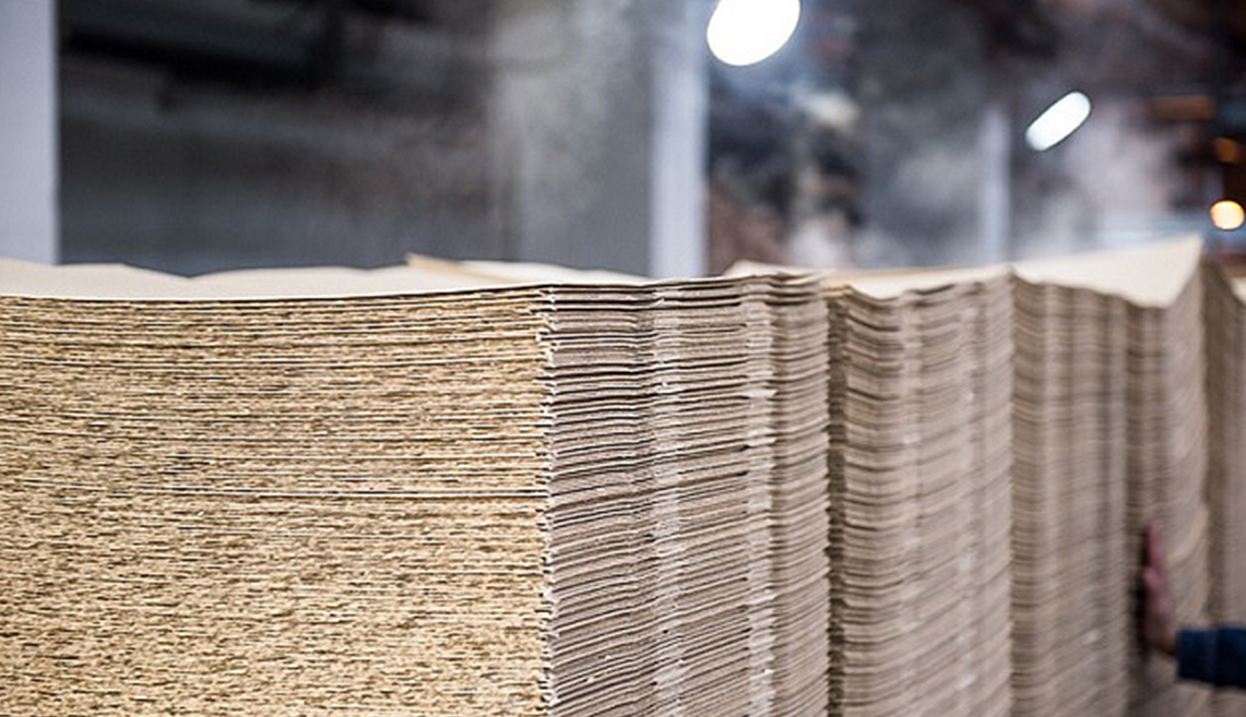 Shandong Rizhao massaprojekt